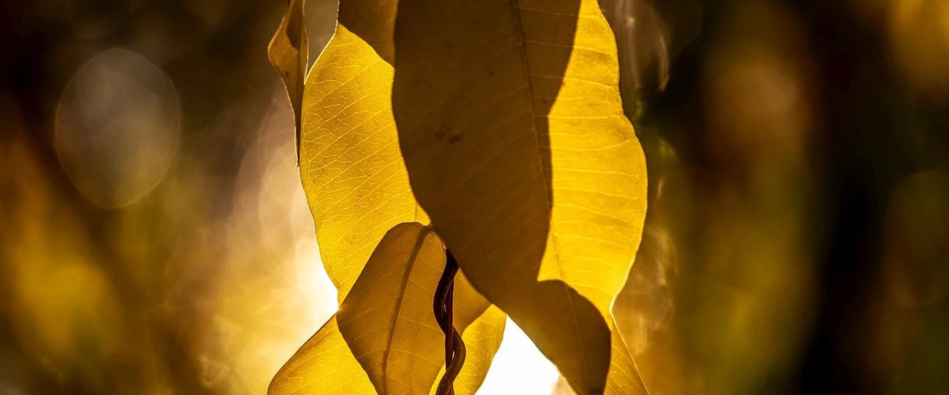 亚洲必赢PG电子